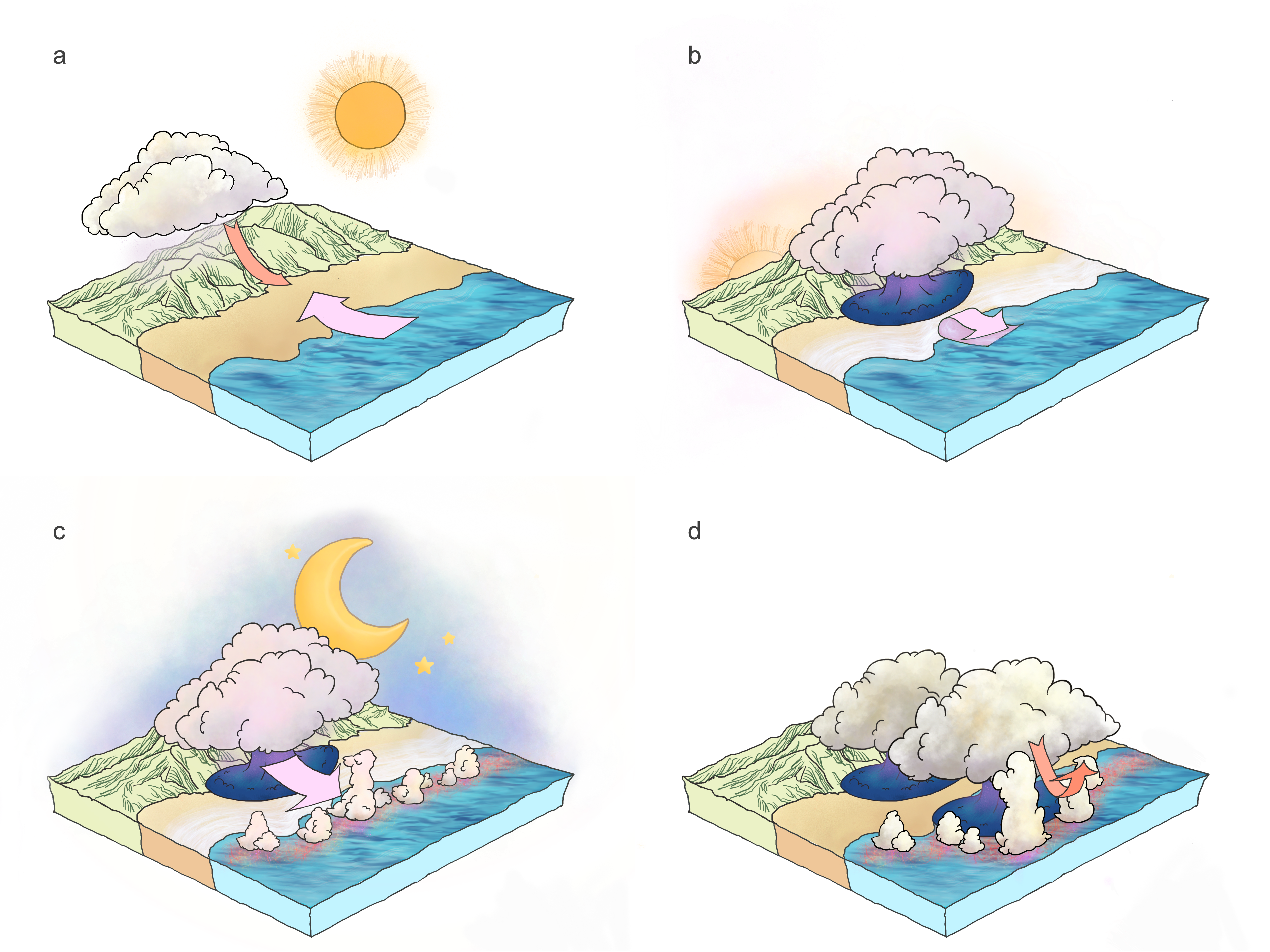 Schematic of breeze, cold pool, and offshore convection interactions